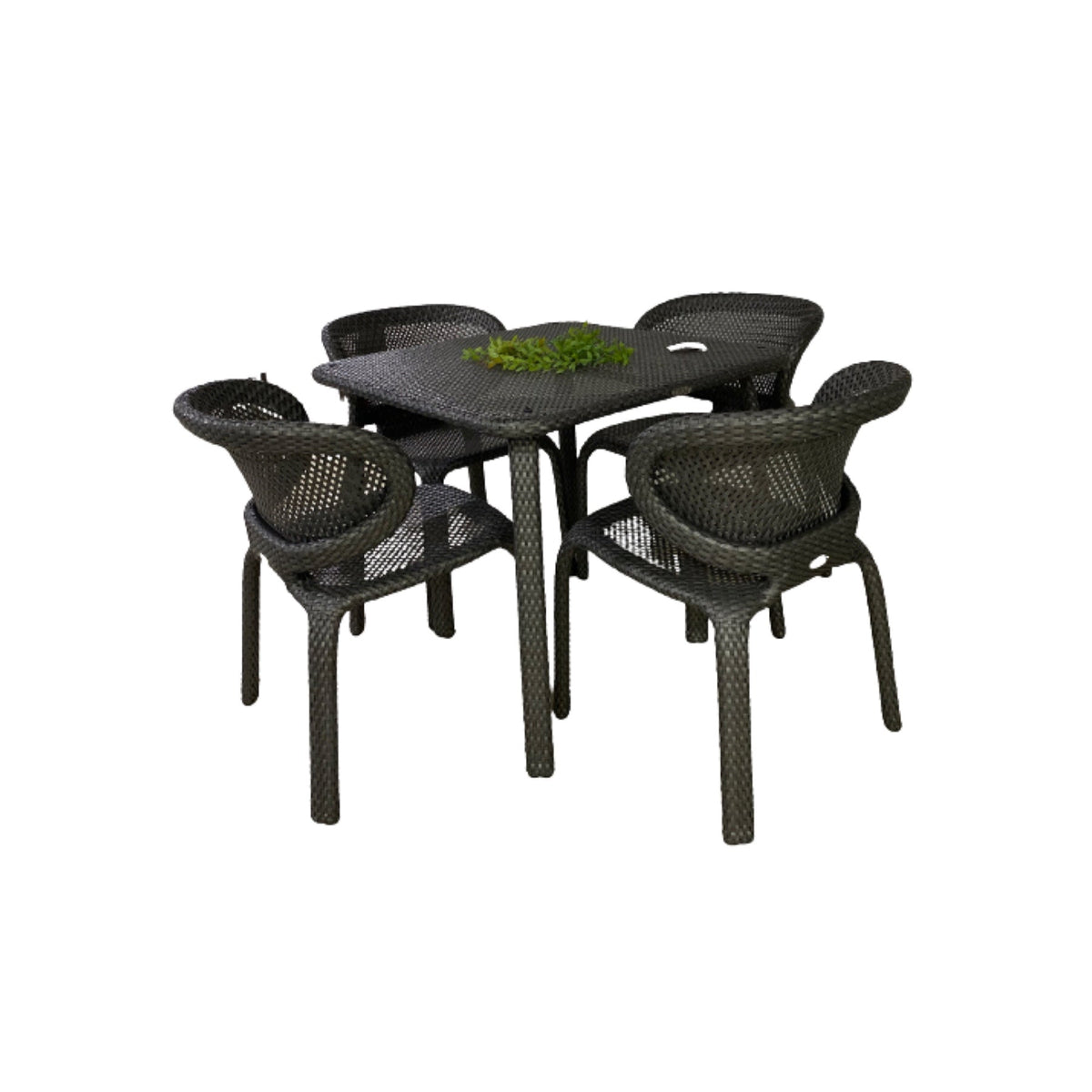 TRO43001 OHMM® Calico Collection