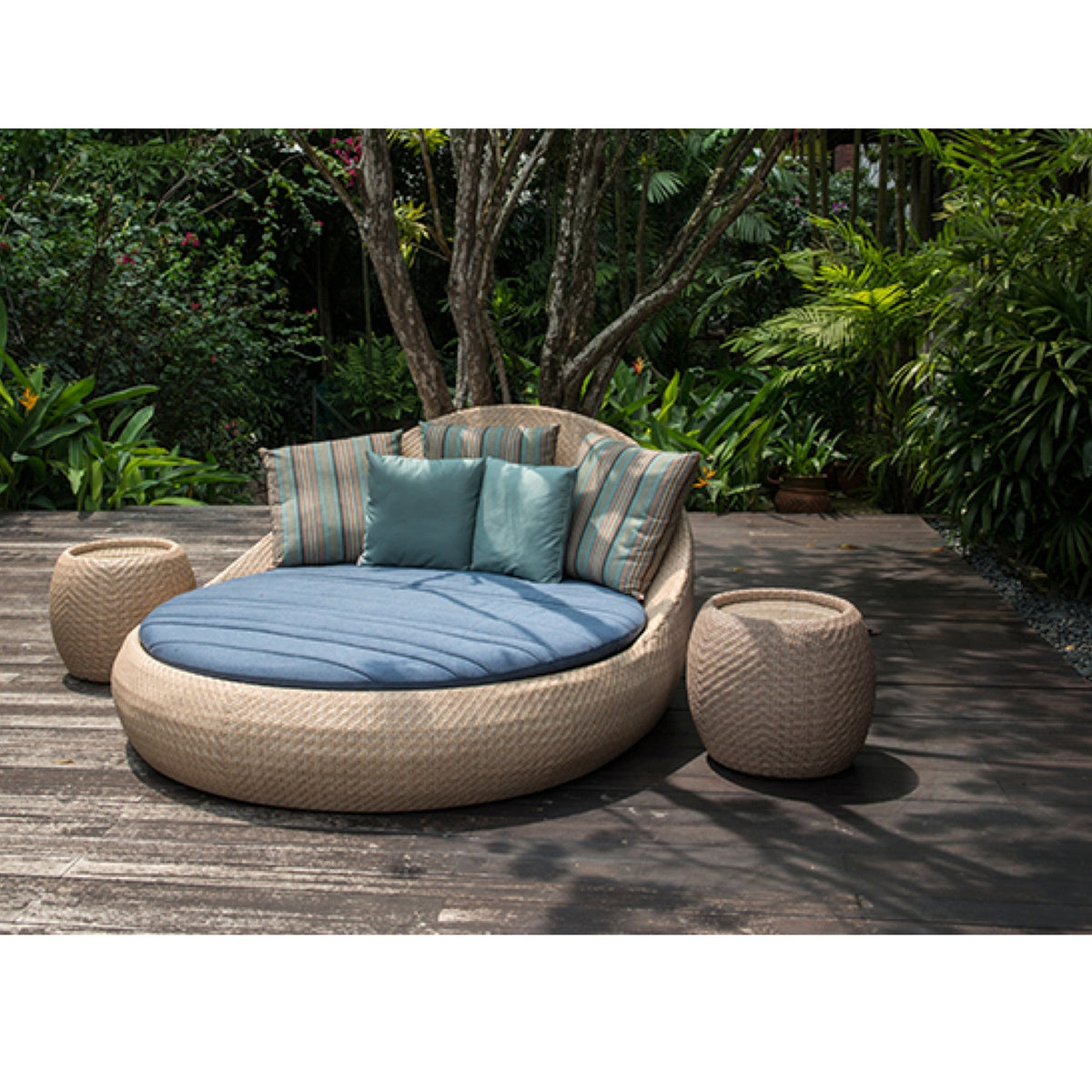TRO21001 OHMM® Sol Collection