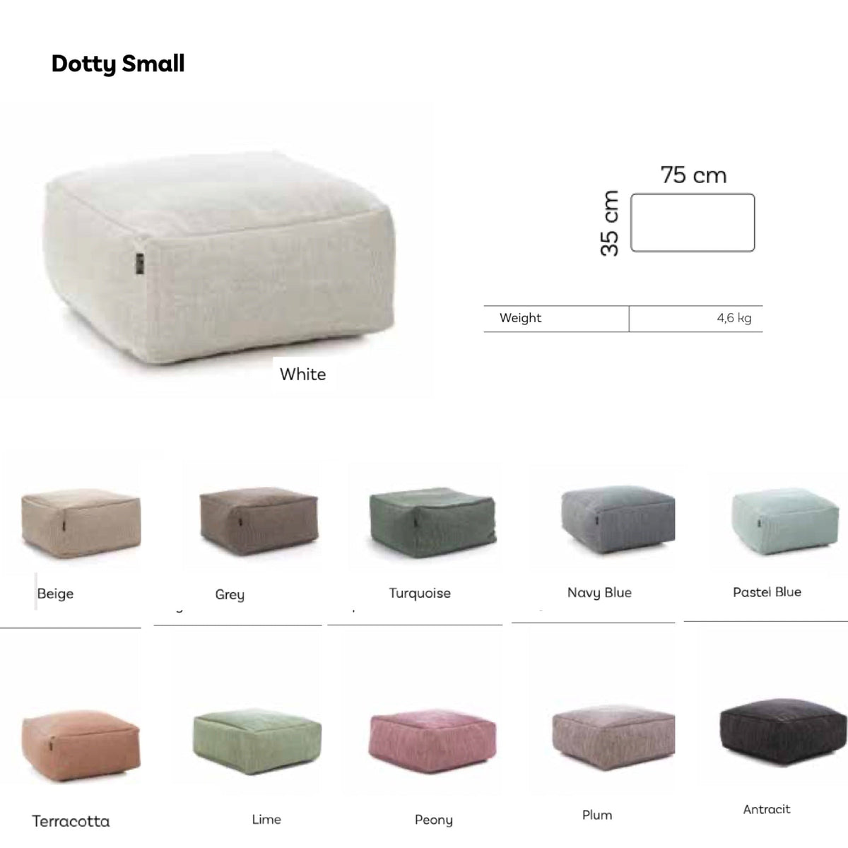 TRR00001 Roolf DOTTY Collections
