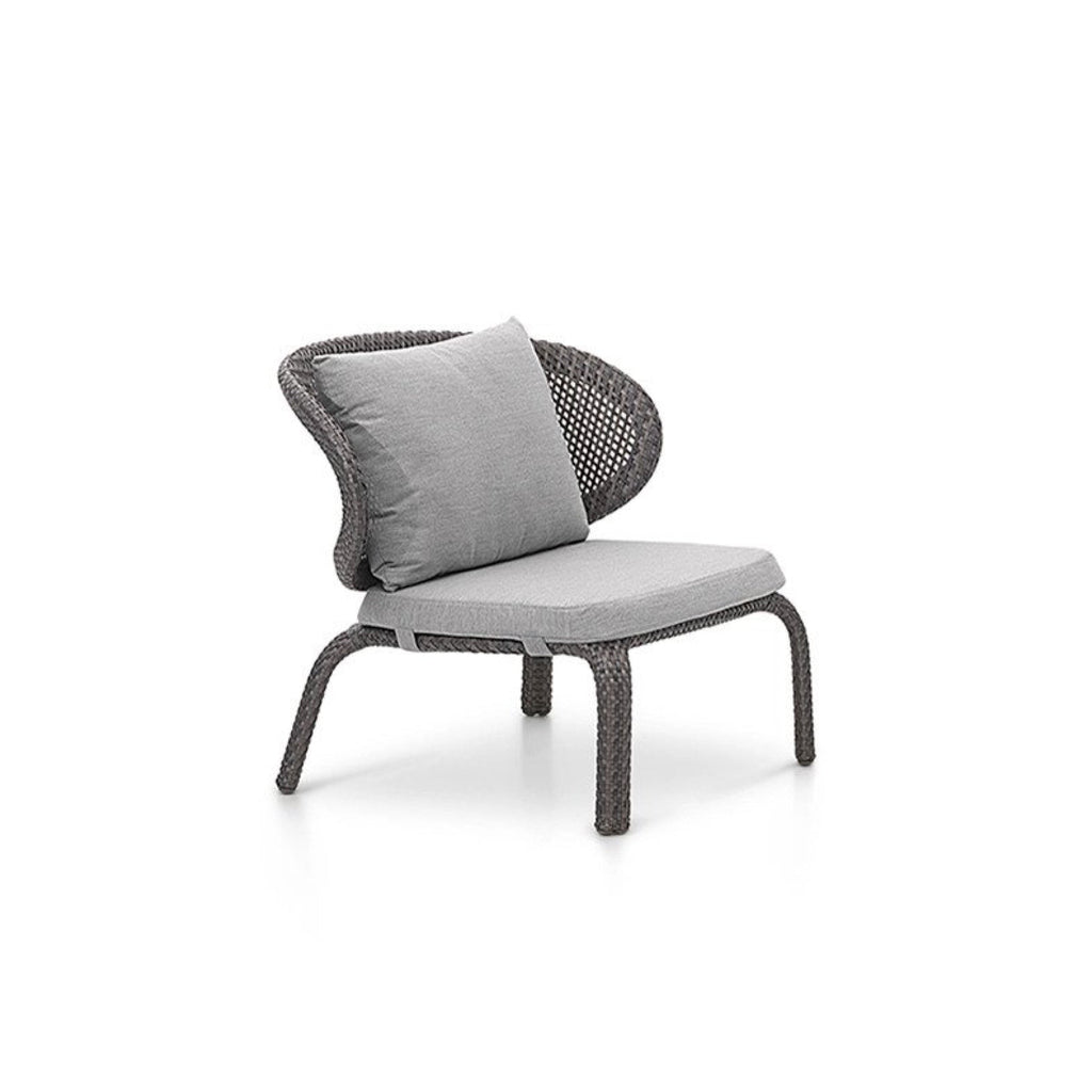 TRO43001 OHMM® Calico Collection