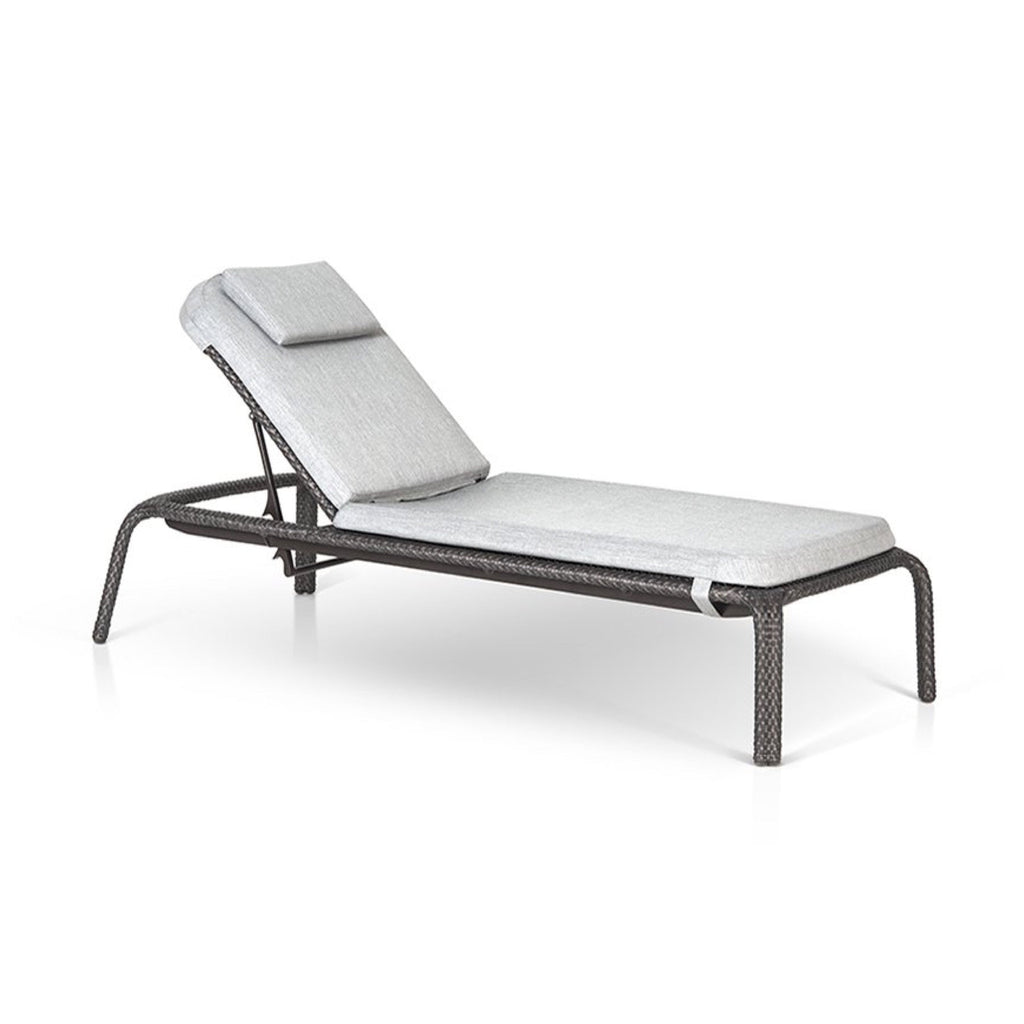 TRO43001 OHMM® Calico Collection