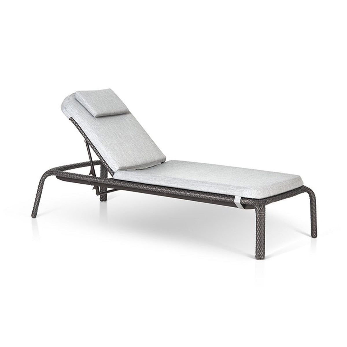 TRO43001 OHMM® Calico Collection