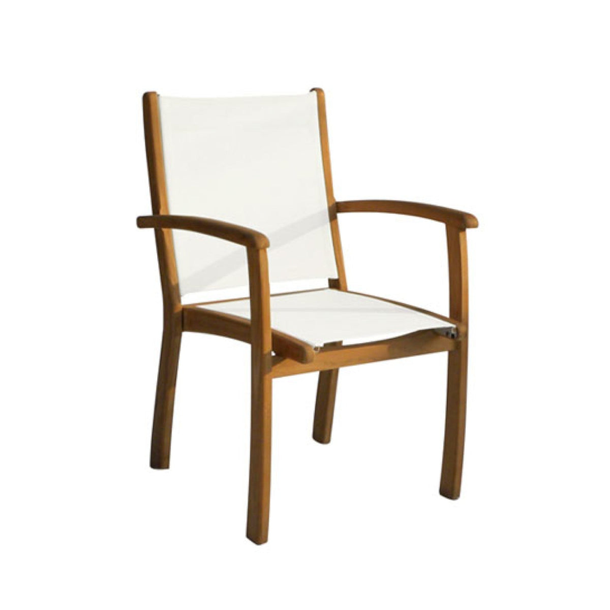 TR11013 Rovelli Collection