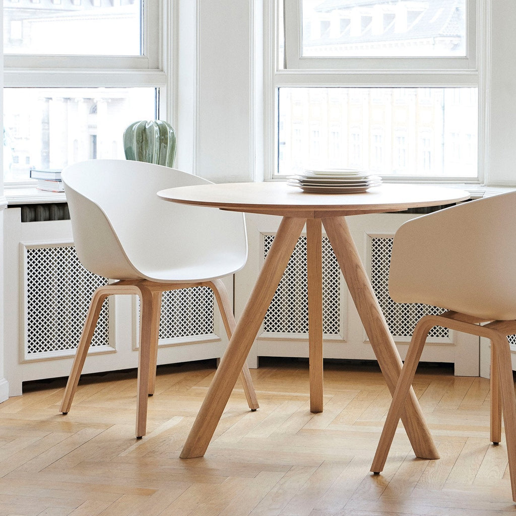 TR20038 Deben Dining Chair