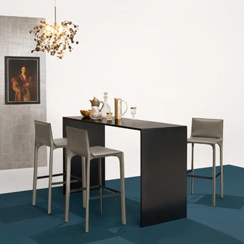 TR30015 Saddle Bar Stool