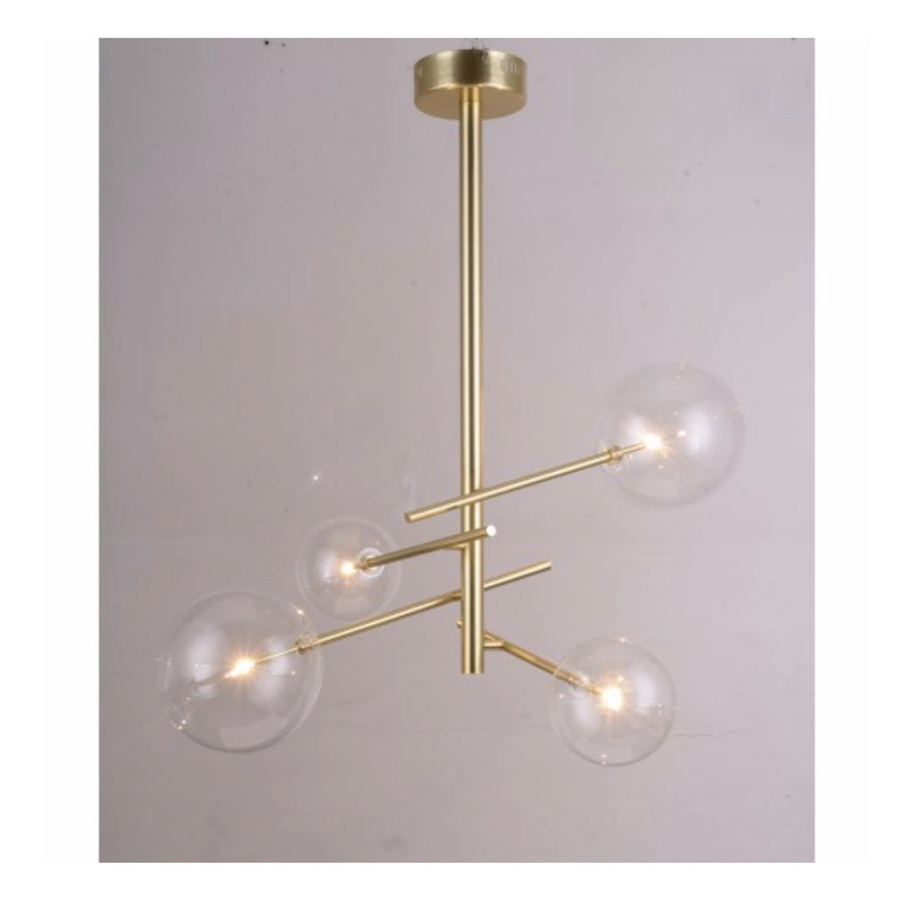 TR80081 Gallotti-Bolle Collection