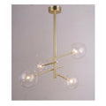 TR80081 Gallotti-Bolle Collection