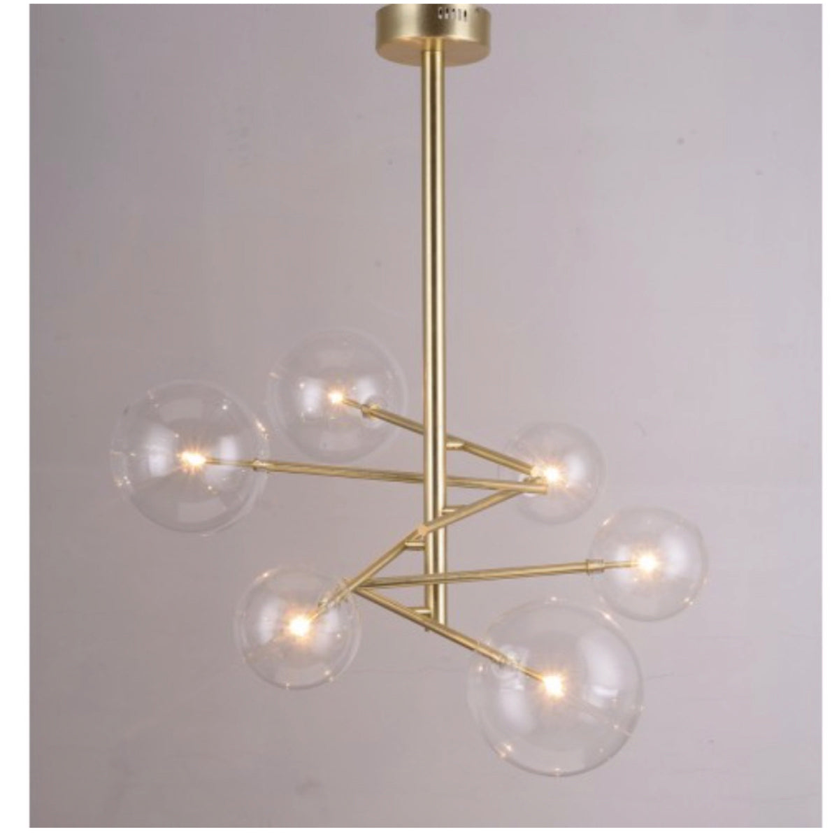 TR80081 Gallotti-Bolle Collection
