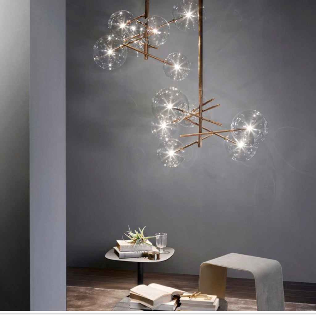 TR80081 Gallotti-Bolle Collection