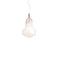TR80172P Aerostat Cage Style Pendant Lamps