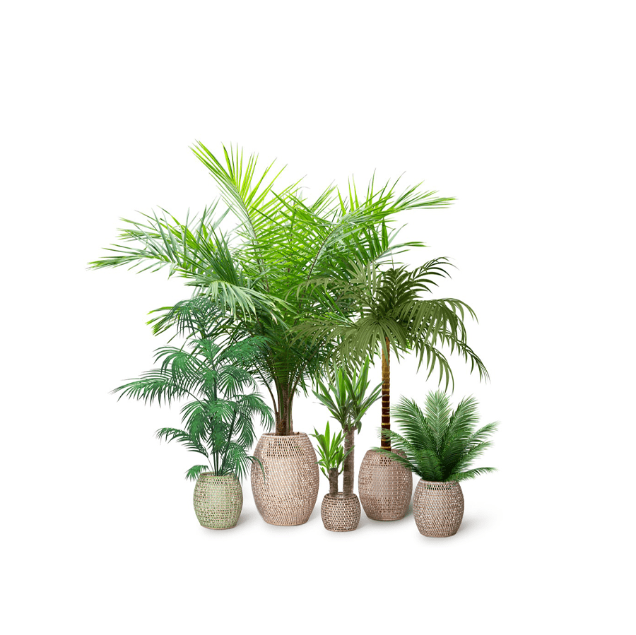 TRO50003 OHMM Habitat Planters